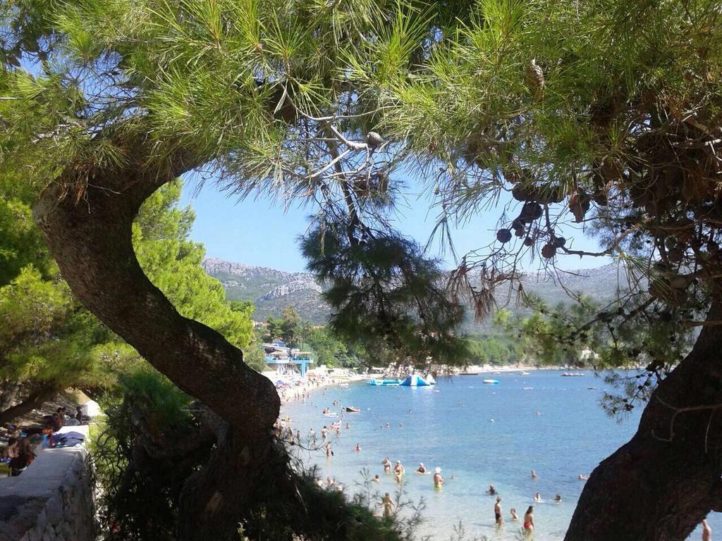 Apartments Mara Orebić Dış mekan fotoğraf